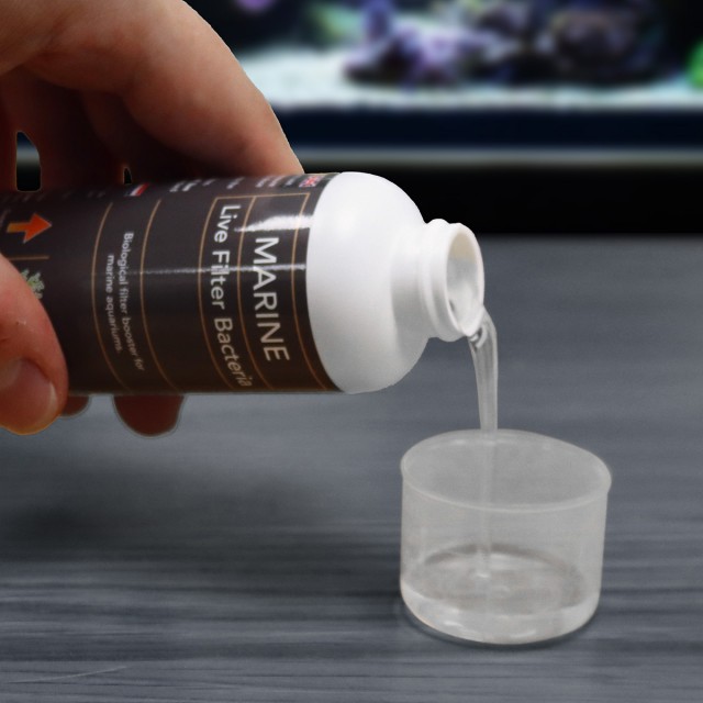 Marine Live Filter Bacteria Lifestyle 1