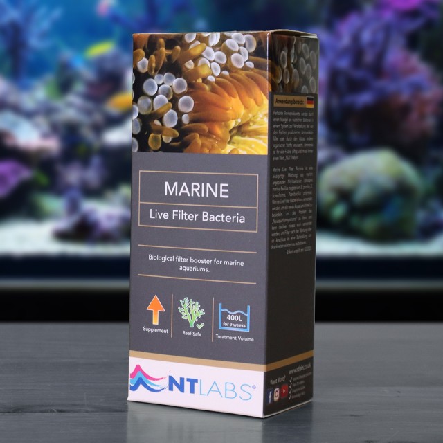 Marine Live Filter Bacteria Display