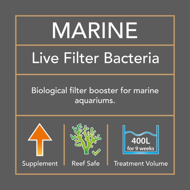 Marine Live Filter Bacteria DG