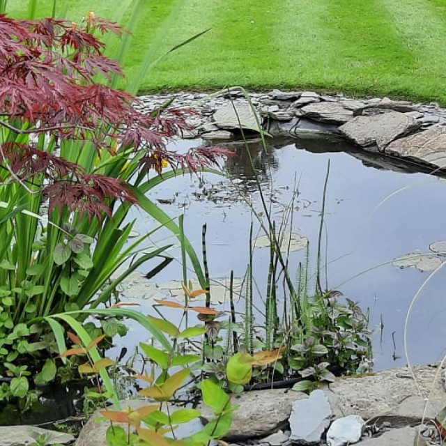 Pond Salt Plus Lifestyle 2