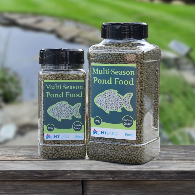 Multi-Season Pond Food Display