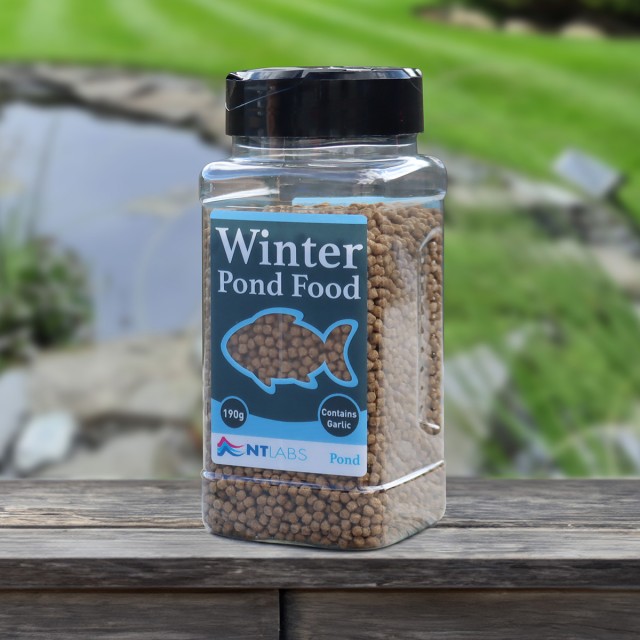 Winter Pond Food Display