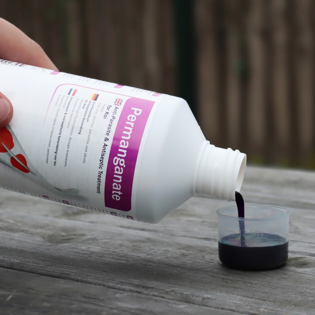 Permanganate Dip Lifestyle 1