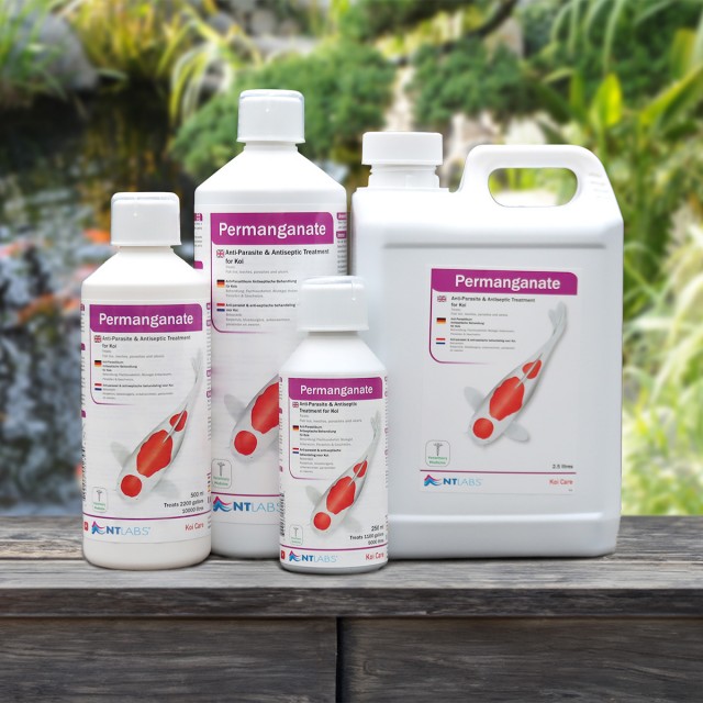 Permanganate Dip Display