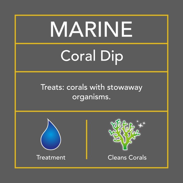 Marine Coral Dip DG