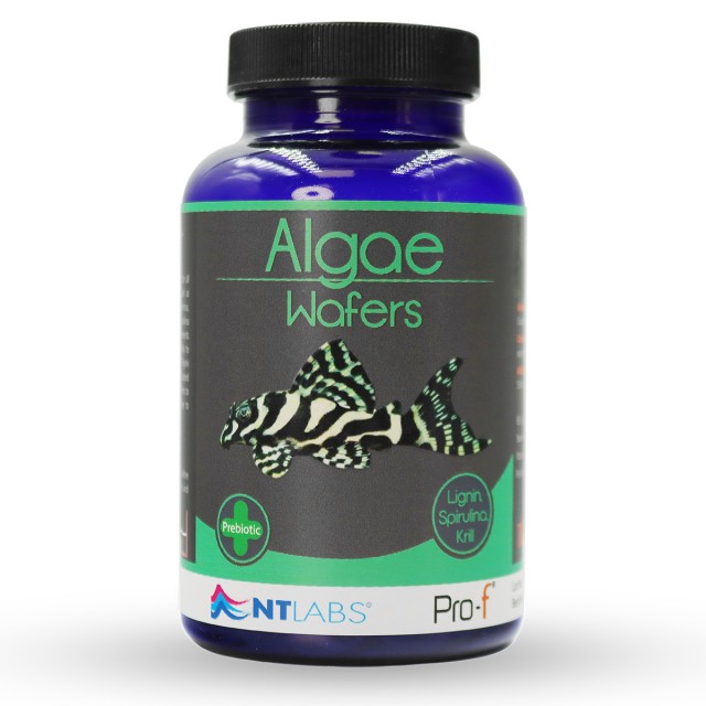 Algae Wafers Front