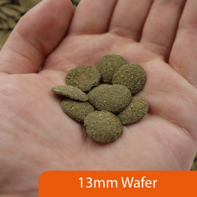Algae Wafers LS2