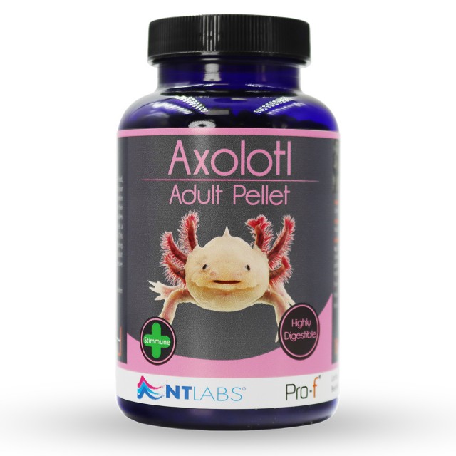 Axolotl Food Front