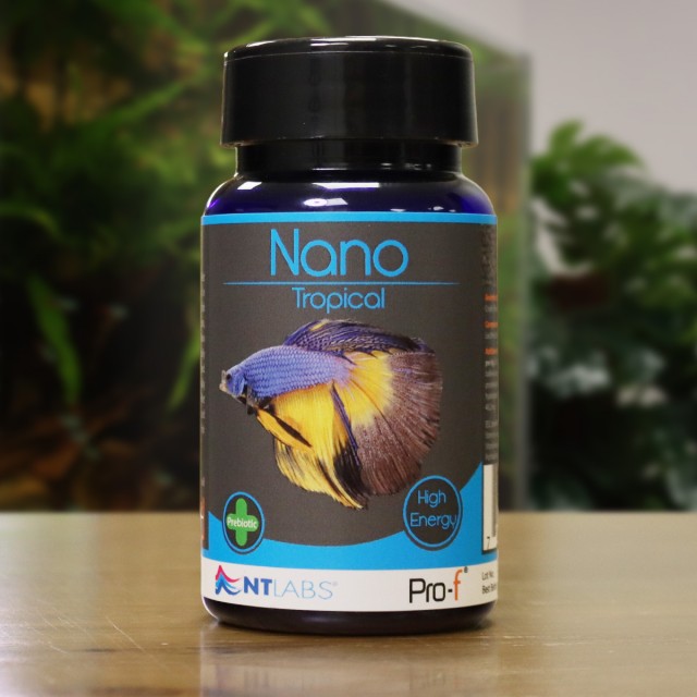 Nano Tropical Display