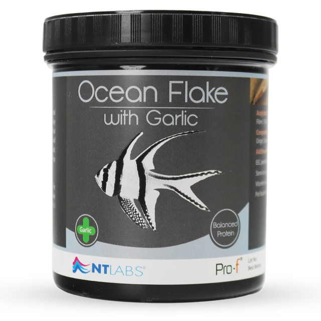 Ocean Flake with Garlic Front