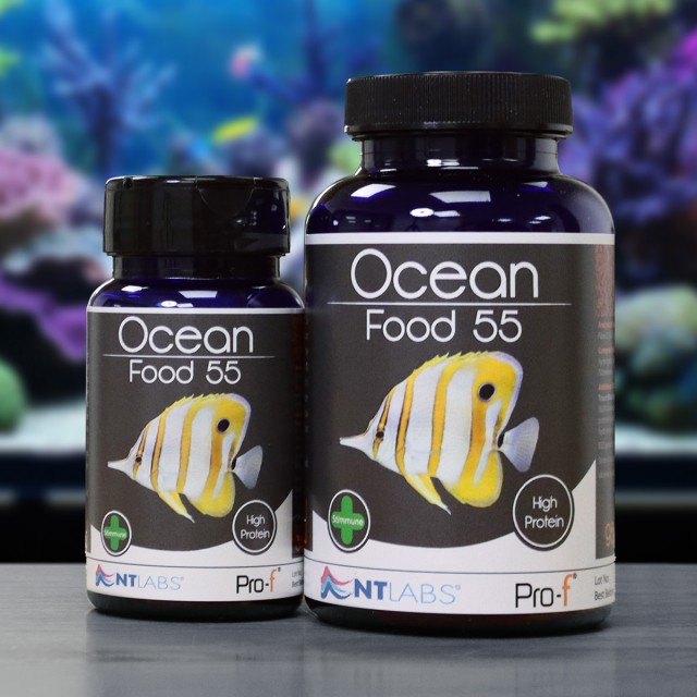 Ocean Food Display