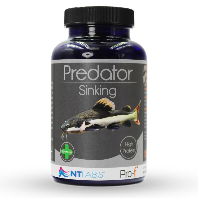 Predator Sinking Front