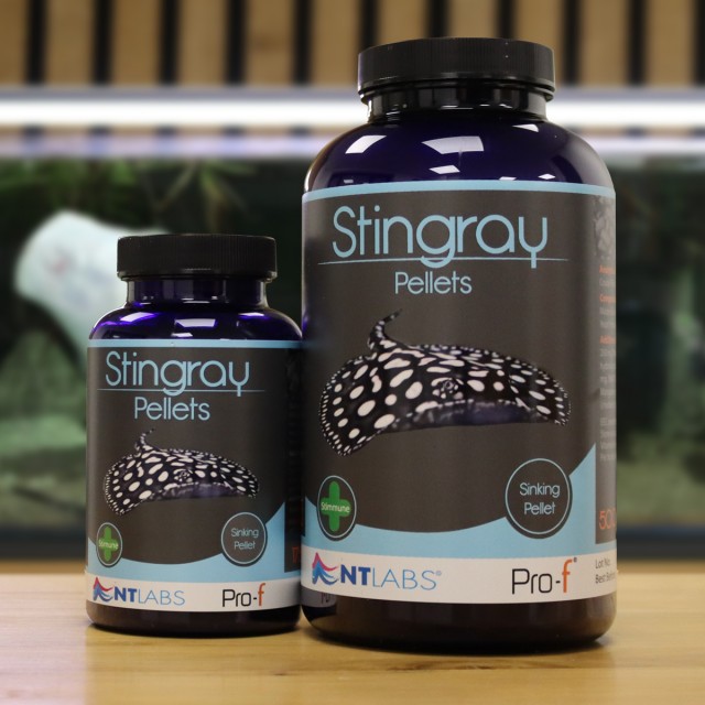 Stingray Pellets Display