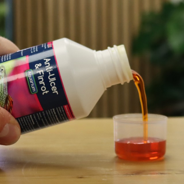 Anti-Ulcer & Finrot Lifestyle 1