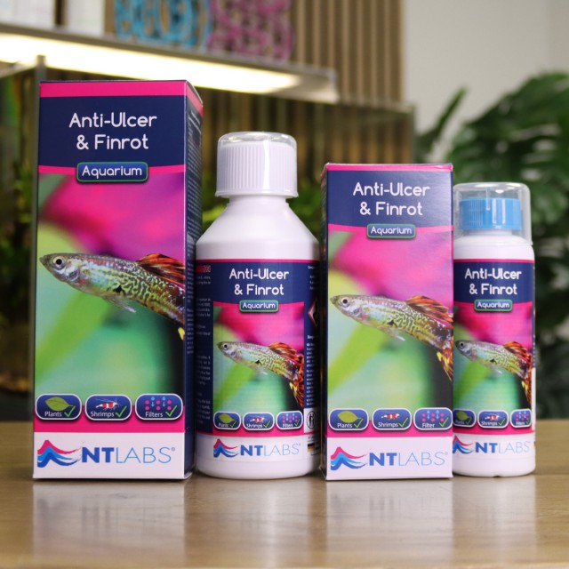 Anti-Ulcer & Finrot Contents