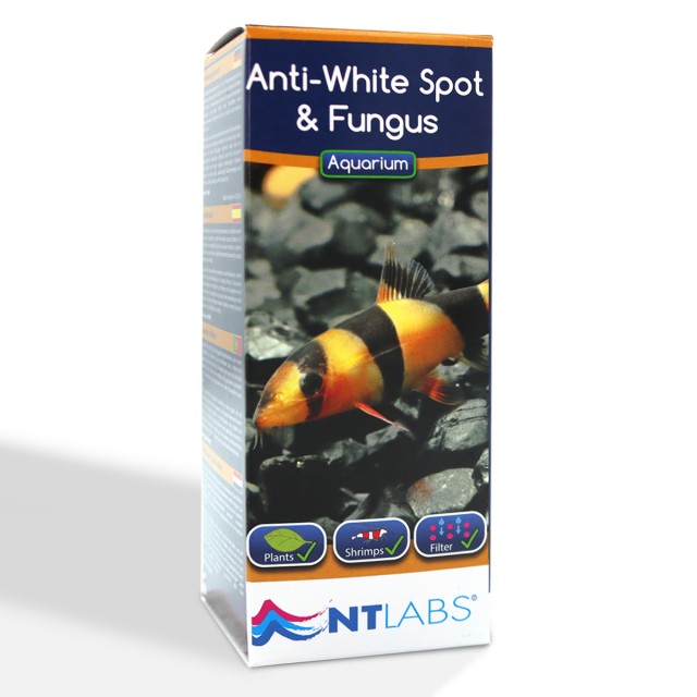 Anti-White Spot & Fungus Front
