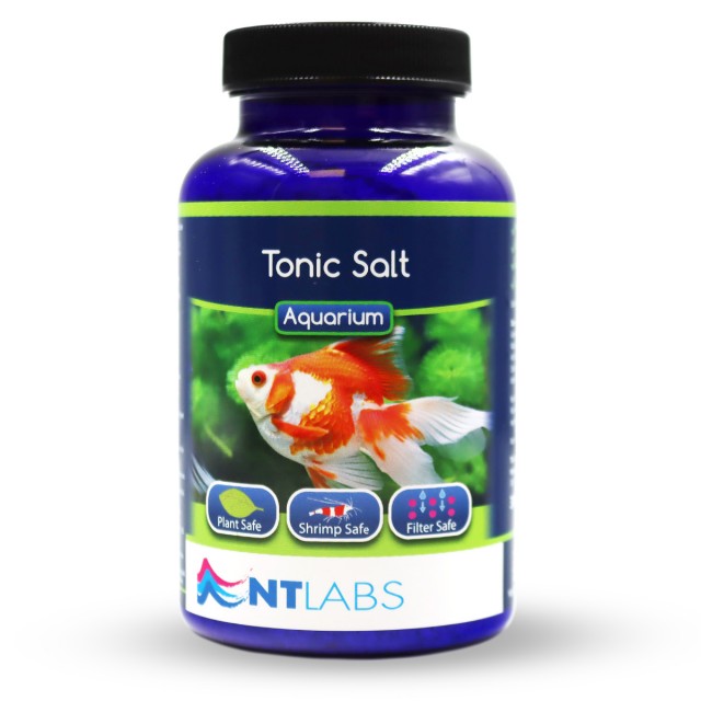 Tonic Salt Front