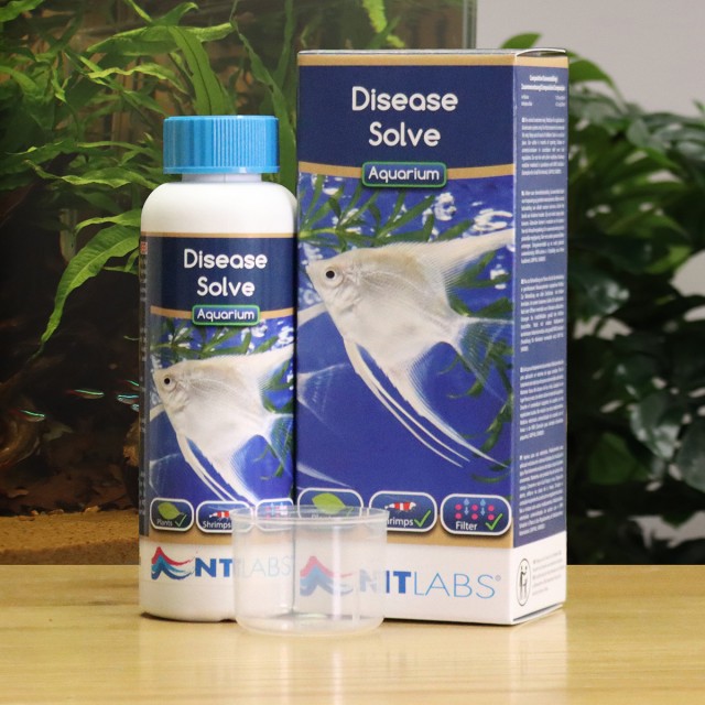 Disease Solve Contents