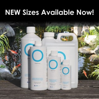 Optimus new sizes