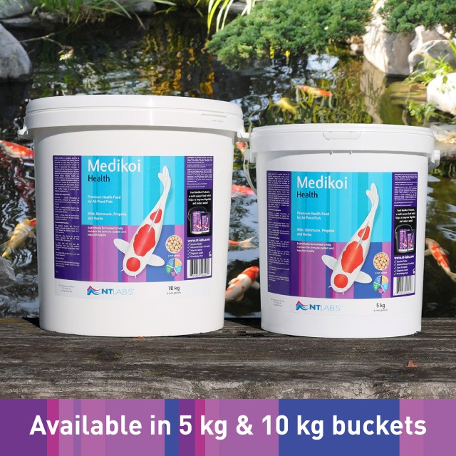 Medikoi Health_Buckets