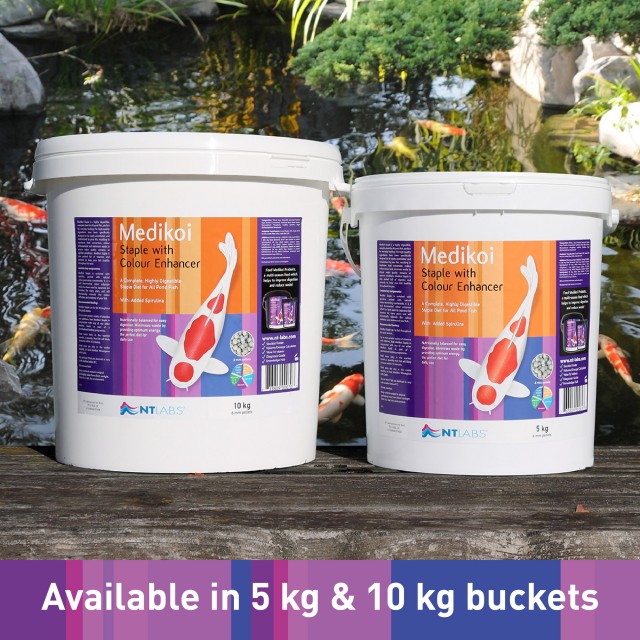 Medikoi Stape_Buckets